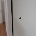793275-8 Vitrinskåp IKEA Oxberg 2st