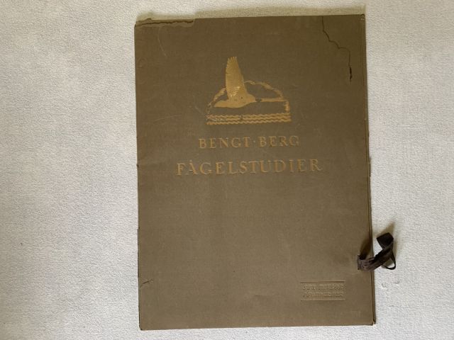 712000-1 Bengt Berg bird studies, 5 leaf photography