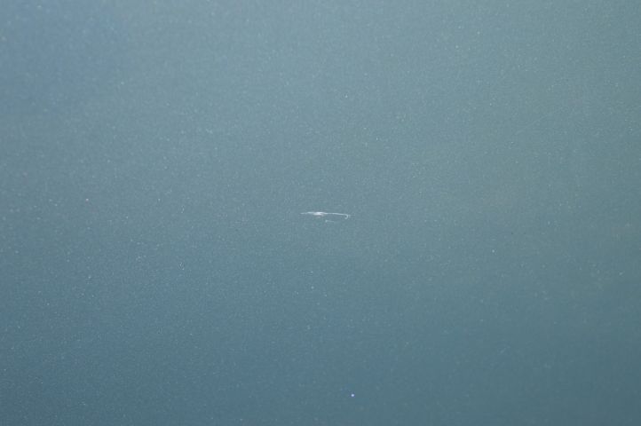 779049-56 Bentley Mulsanne 6.7L V8 201 hp -1981