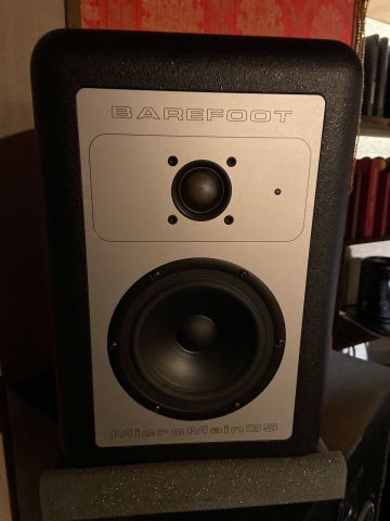 808223-4 2 monitors, Barefoot Micromain 35