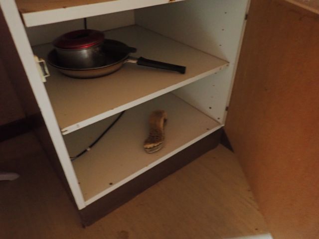 617728-61 Work barracks on wheels