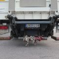831266-12 MERCEDES-BENZ Actros 1832 L 4X2, 2009, 315 hp, Refrigerated
