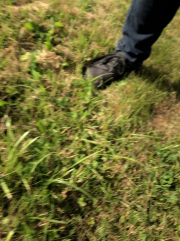 831837-36 Mercedes Benz 250 Coupe 1969