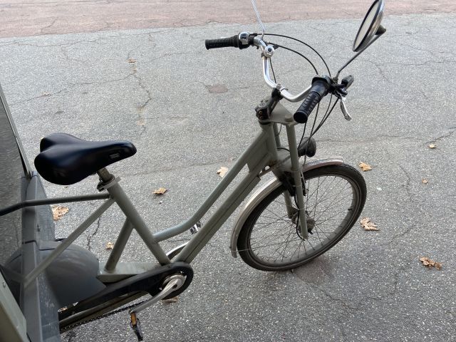 827898-13 Cargo bike Lovelo