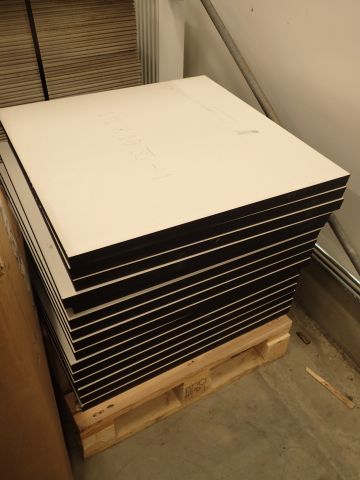 753380-8 Raised floor from Lindner