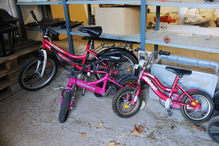 794468-6 Children's bikes - 12 "and 20"