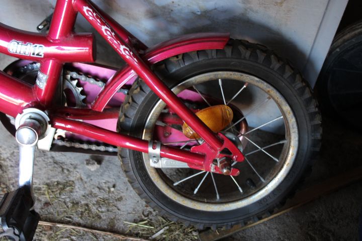 794468-12 Children's bikes - 12 "and 20"