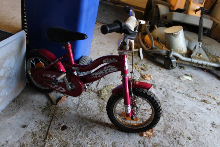 794468-14 Children's bikes - 12 "and 20"