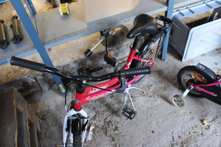 794468-27 Children's bikes - 12 "and 20"