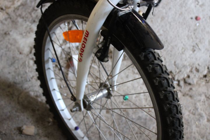 794468-28 Children's bikes - 12 "and 20"