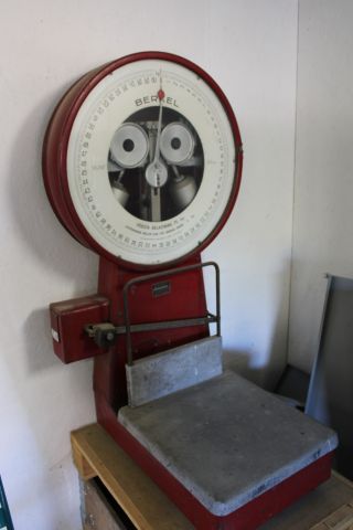 794471-1 Scales, BERKEL 100KG