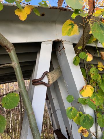 748099-23 Takstolar 7 stycken 28 meter