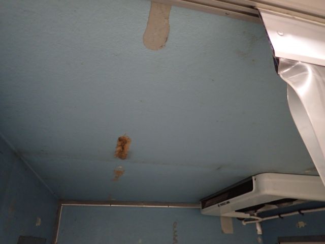 752014-47 Iveco Daily 35S12 Fridge / Freezer car