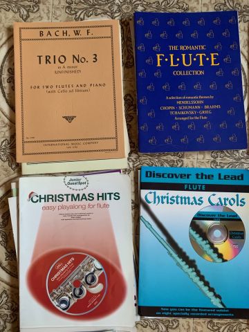777331-3 About 50 notebooks flute