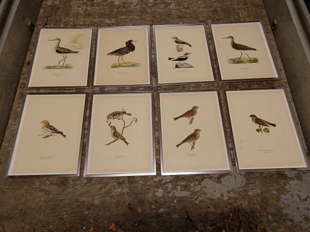 825912-1 Lithographic Print A Börtzells TR. AB Stockholm