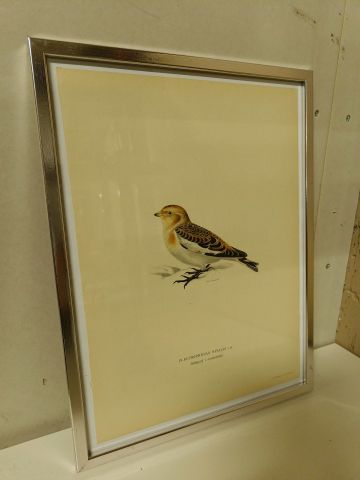 825912-2 Lithographic Print A Börtzells TR. AB Stockholm