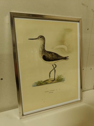 825912-4 Lithographic Print A Börtzells TR. AB Stockholm