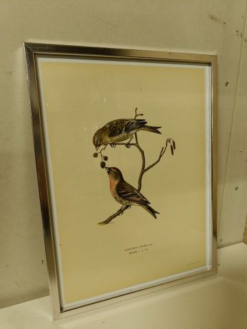 825912-6 Lithographic Print A Börtzells TR. AB Stockholm