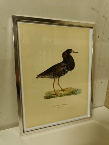 825912-8 Lithographic Print A Börtzells TR. AB Stockholm