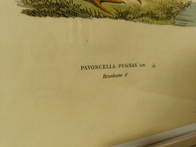 825912-9 Lithographic Print A Börtzells TR. AB Stockholm