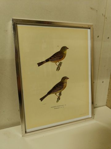 825912-10 Lithographic Print A Börtzells TR. AB Stockholm