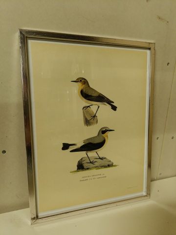 825912-12 Lithographic Print A Börtzells TR. AB Stockholm