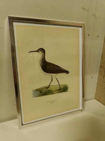 825912-16 Lithographic Print A Börtzells TR. AB Stockholm