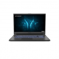 858977-1 144 Hz 17.3 "gaming laptop Medion ERAZER Defender P10 (MD62255)