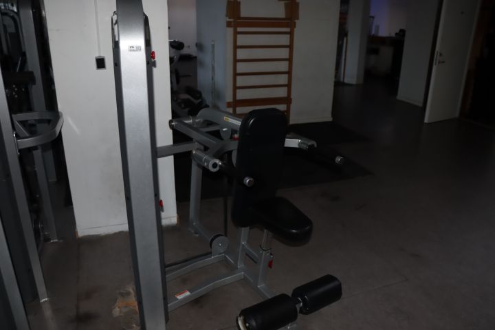 787866-1 Star Trac Impact Tricep Dip