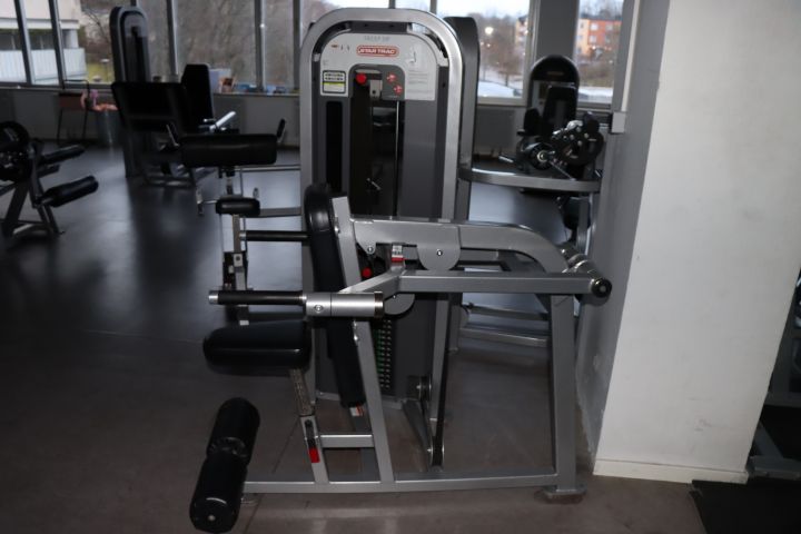 787866-2 Star Trac Impact Tricep Dip