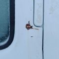825953-51 Nissan NP300 -2011 Reg: FXP080 Repair Object