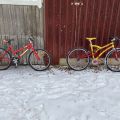 794779-1 Bicycles - Pinewood, Ganna