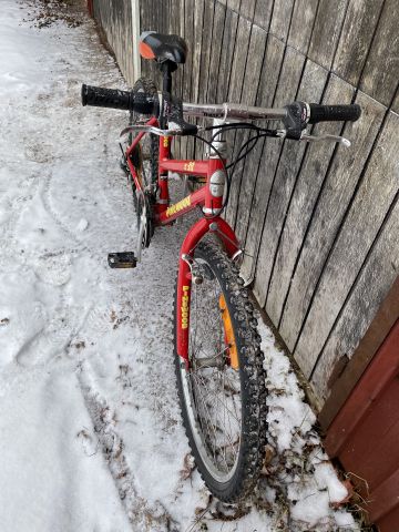 794779-4 Bicycles - Pinewood, Ganna