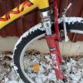 794779-11 Bicycles - Pinewood, Ganna