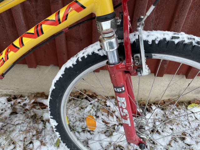 794779-11 Bicycles - Pinewood, Ganna