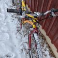 794779-12 Bicycles - Pinewood, Ganna