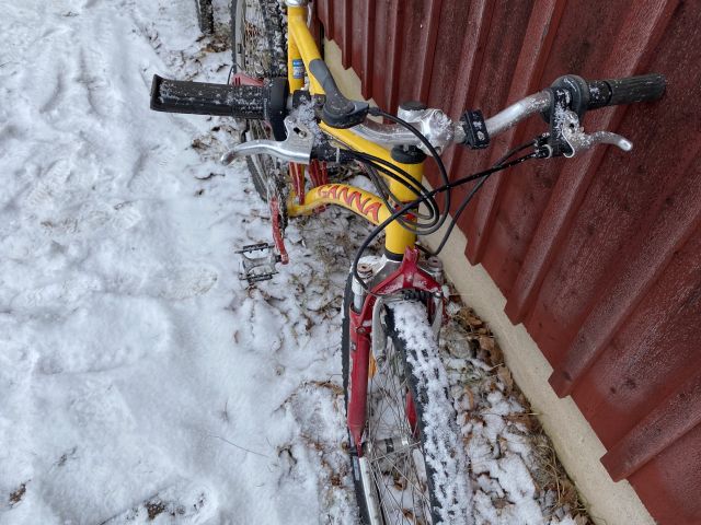794779-12 Bicycles - Pinewood, Ganna