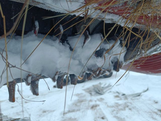 825955-62 Piste machine Prinoth Everest EPS -2003