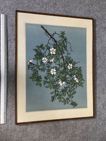 804199-9 Paintings numbered