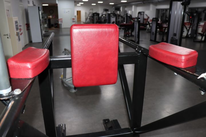 788048-4 Exercise equipment Dip stand