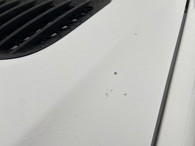 865725-16 MERCEDES-BENZ SPRINTER, 2015, 161 hp