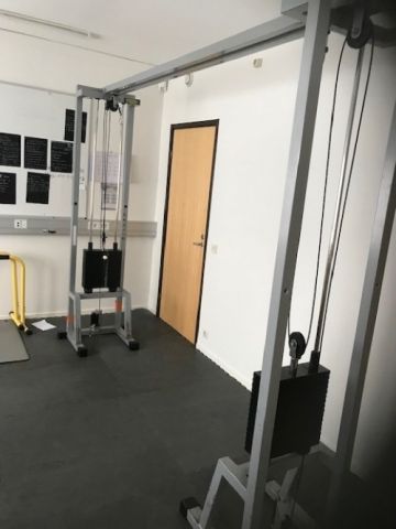 874362-1 Biceps / Triceps exercise machine. Technogym M024