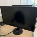 824600-1 Monitor EIZO FlexScan EV3237