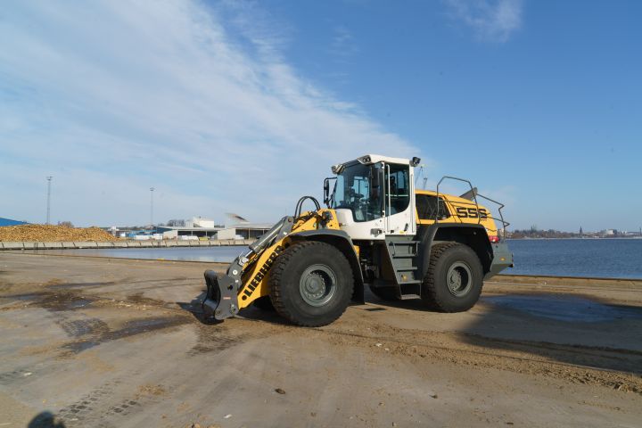 884707-3 Wheel loader Liebherr L556 Xpower - 2019