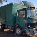 809528-3 Horse transport Volvo F 406-4X2 1V - 1978