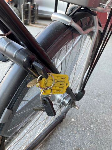 877157-4 Electric bike Batavus Torino Allround Bike -2016