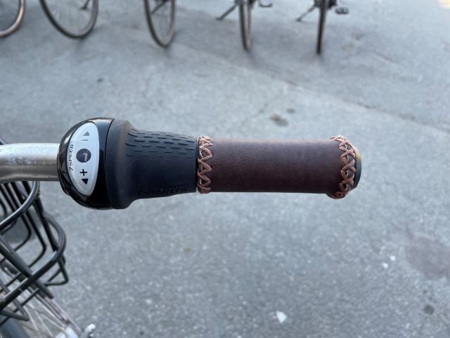 877157-7 Electric bike Batavus Torino Allround Bike -2016