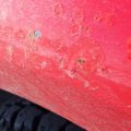 861665-20 Nissan King Cab Navara 2.5 dCi - 2012