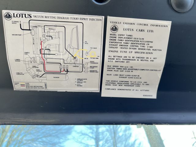 895191-39 Lotus Esprit Turbo USA model - 1989