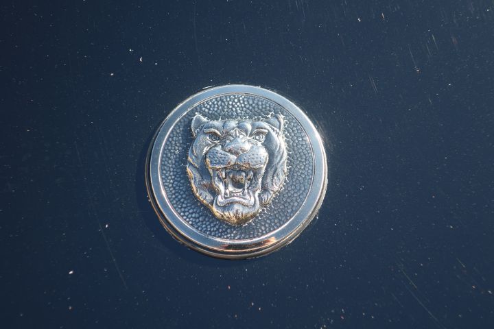 906580-17 Jaguar XJS LeMans No. 169/180 - 1989